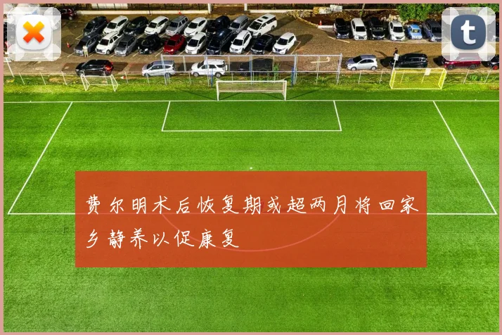 费尔明术后恢复期或超两月将回家乡静养以促康复