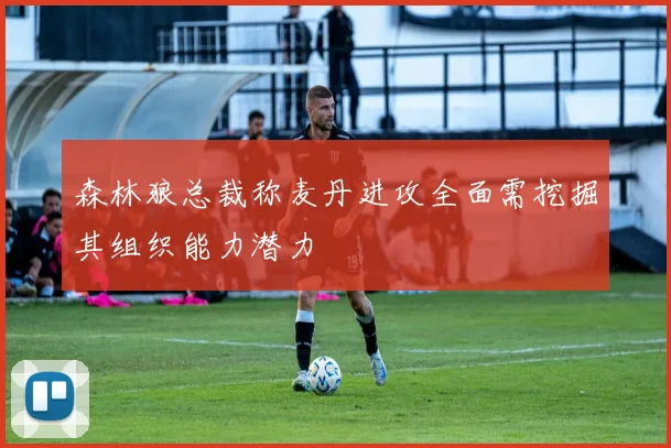 森林狼总裁称麦丹进攻全面需挖掘其组织能力潜力
